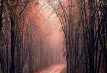 500官方彩票网安全吗？靠谱吗？